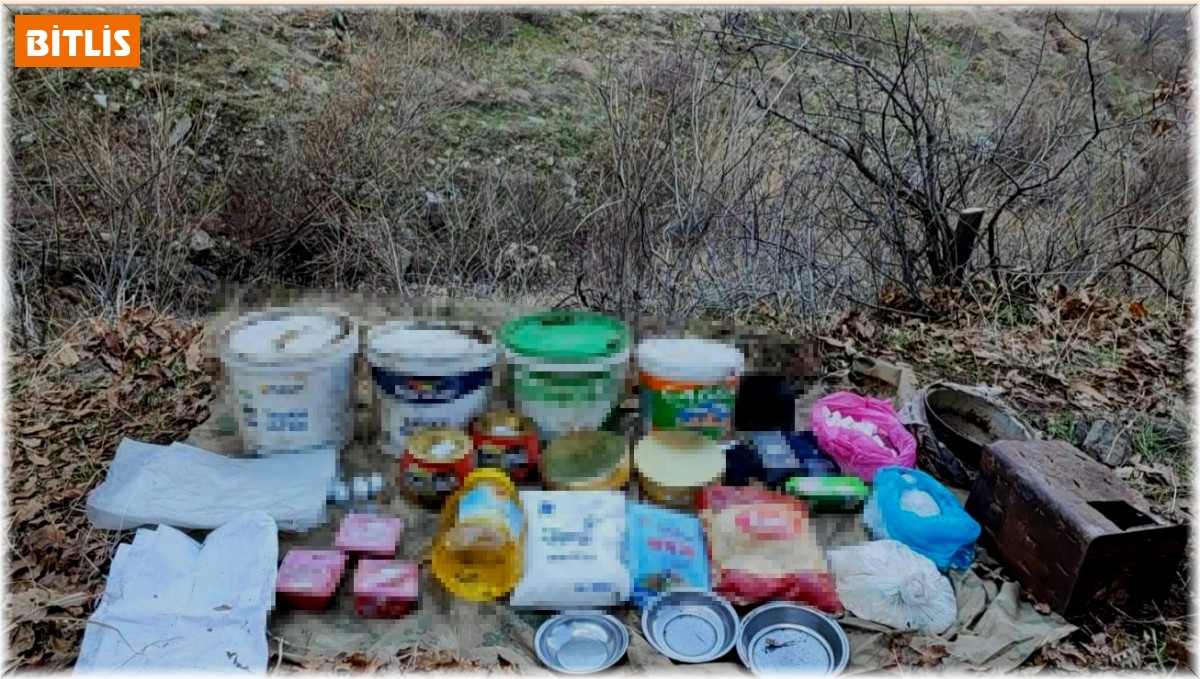 Bitlis'te silah ve mühimmat ele geçirildi