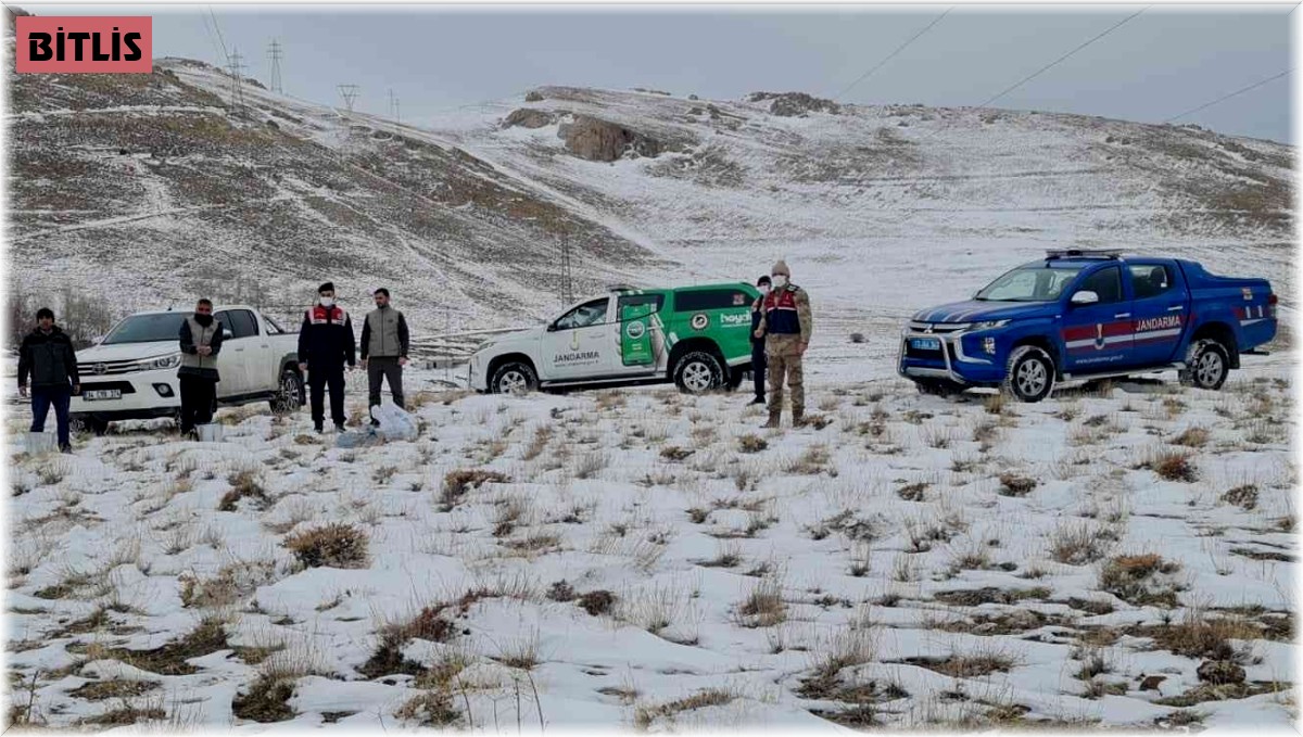 Bitlis'te sokak ve yaban hayvanlar için doğaya yem bırakıldı