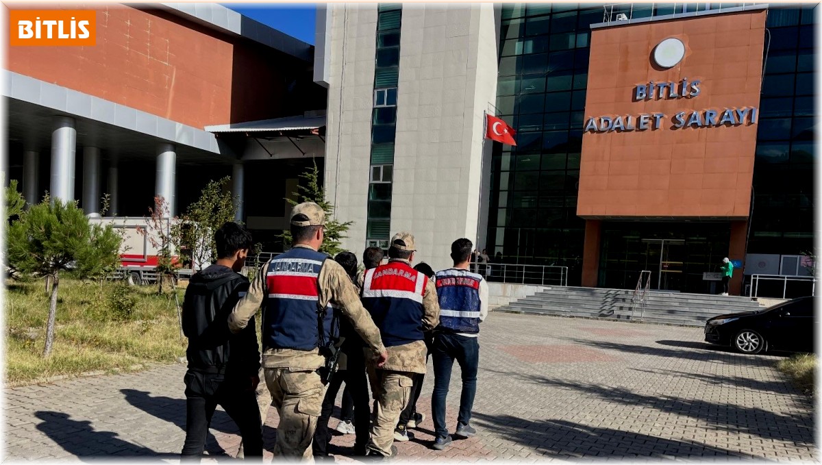 Bitlis'te terör operasyonu: 9 gözaltı