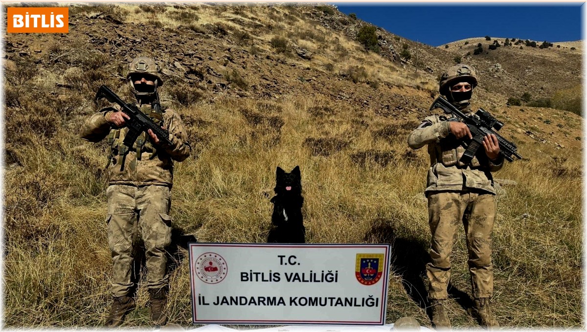 Bitlis'te terör operasyonu, çok sayıda mühimmat ele geçirildi