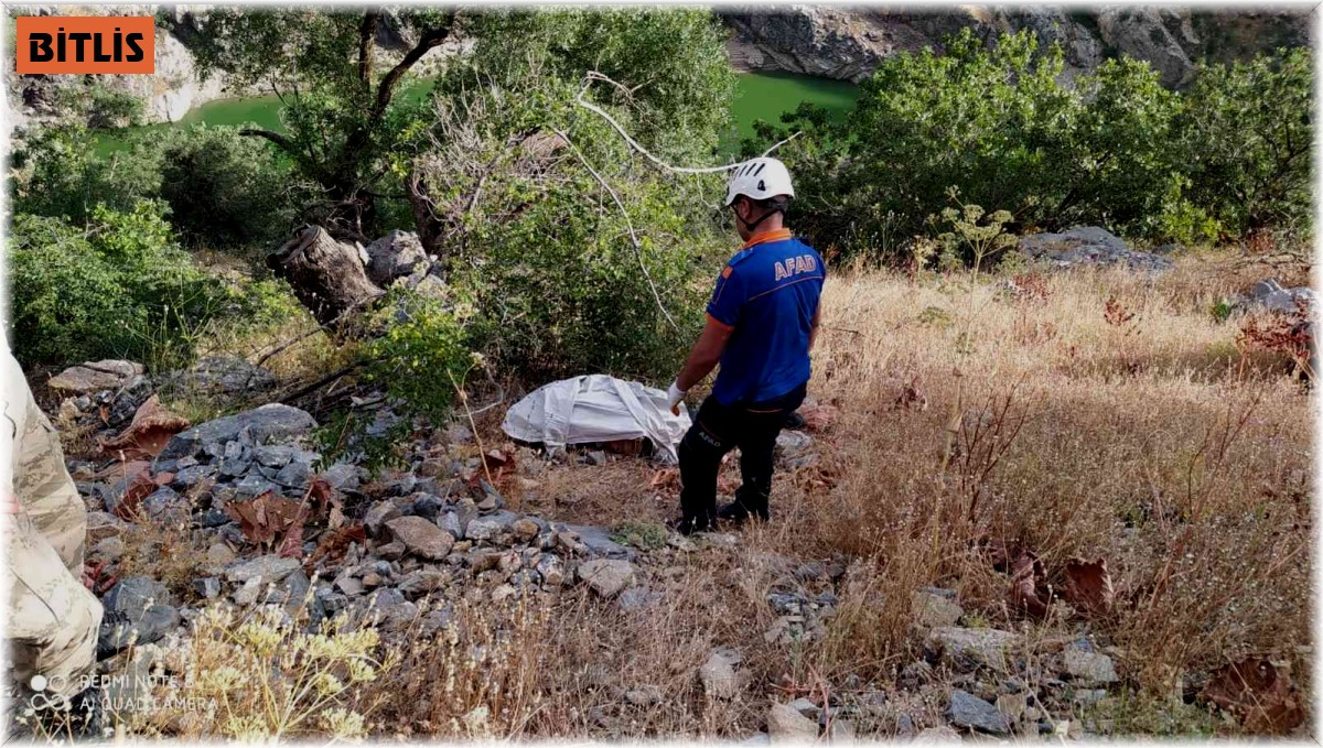 Bitlis'te trafik kazası: 1 ölü