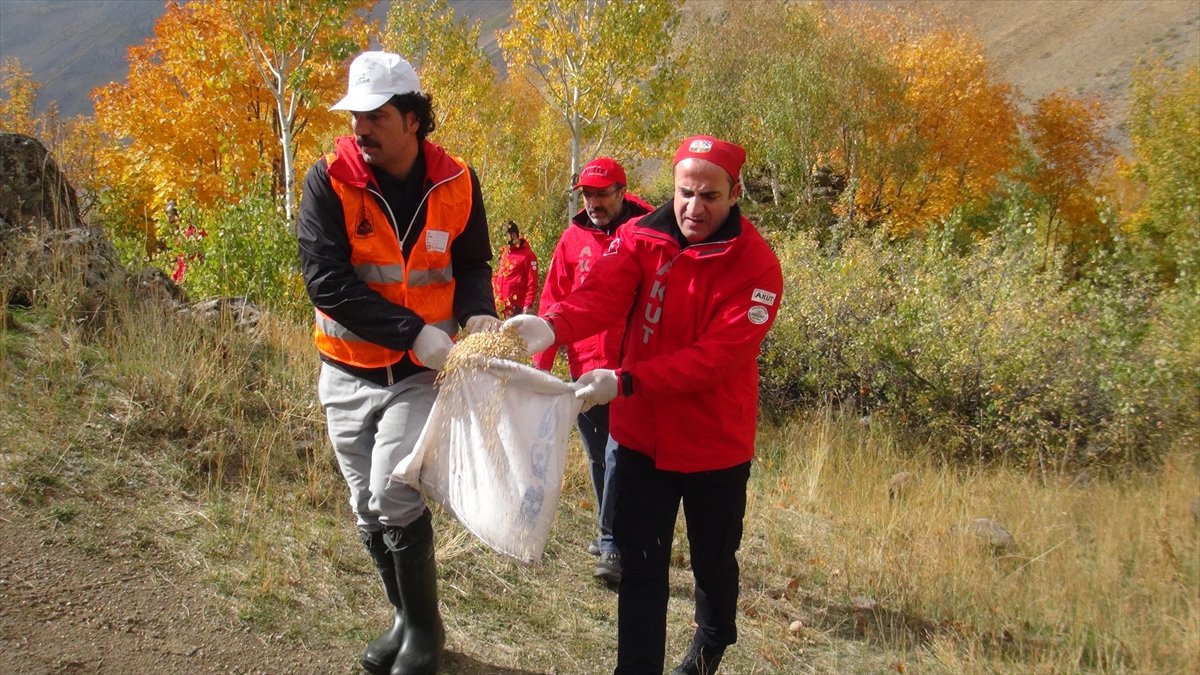 Bitlis'te yaban hayvanlarına yem verildi