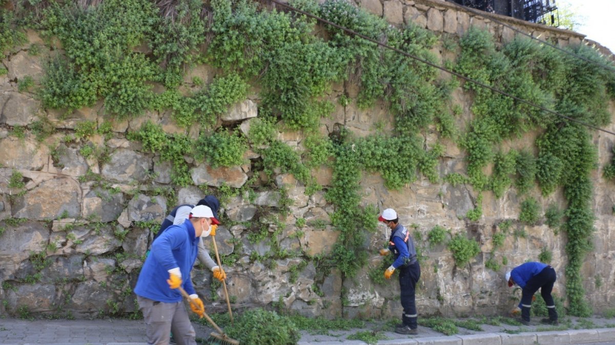 Bitlis'te yabani ot temizliği