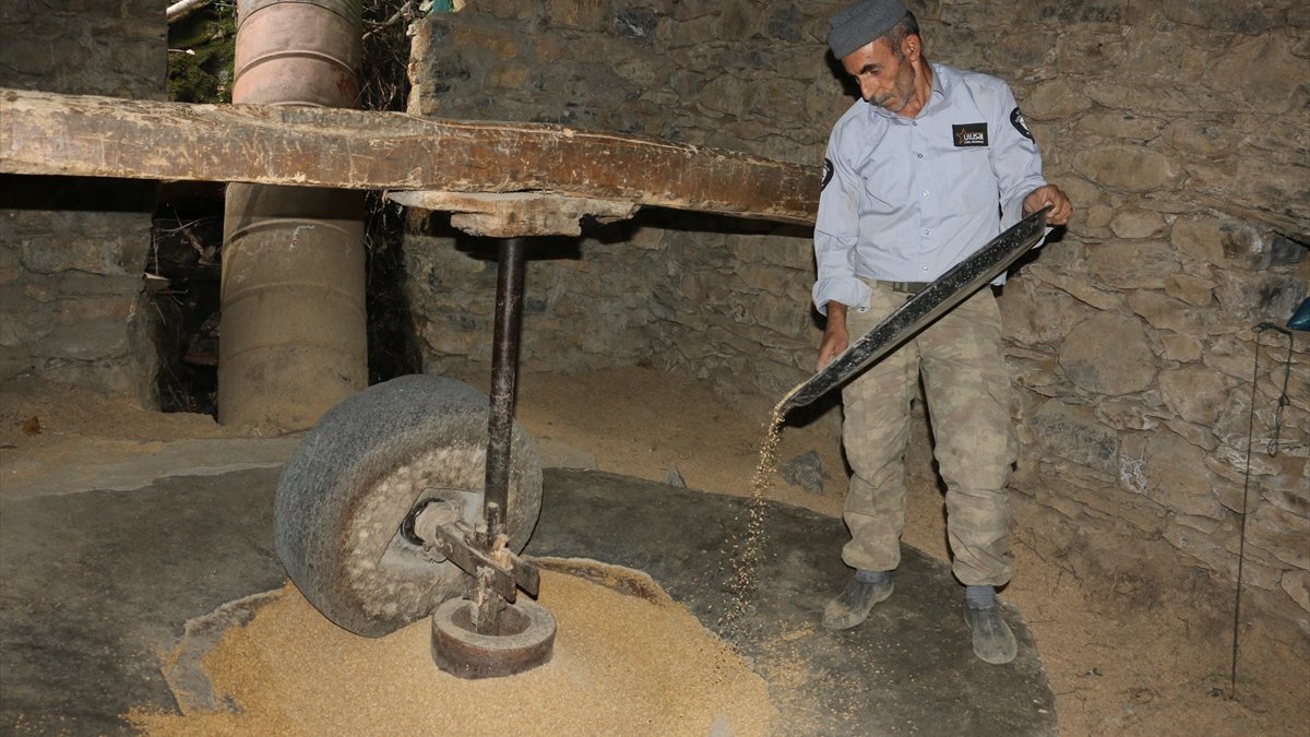 Bitlis'te yetiştirilen kursunç pirinci 150 yıllık değirmende öğütülüyor
