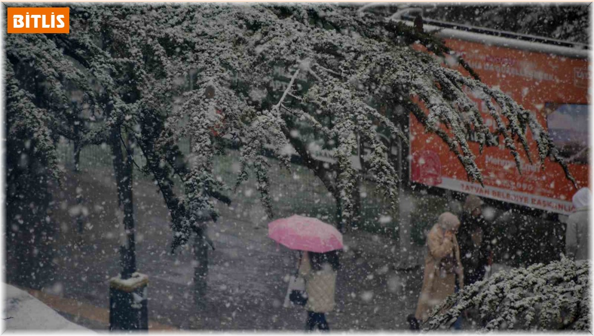 Bitlis'te yoğun kar yağışı başladı