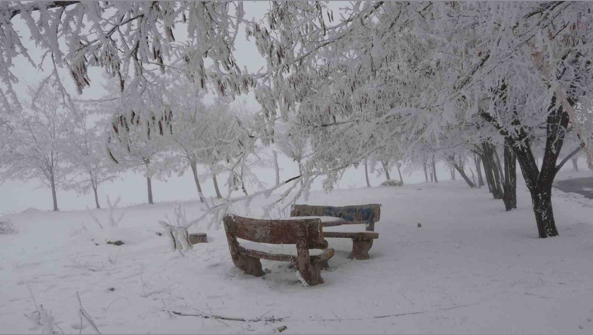 Bitlis'te yoğun sis