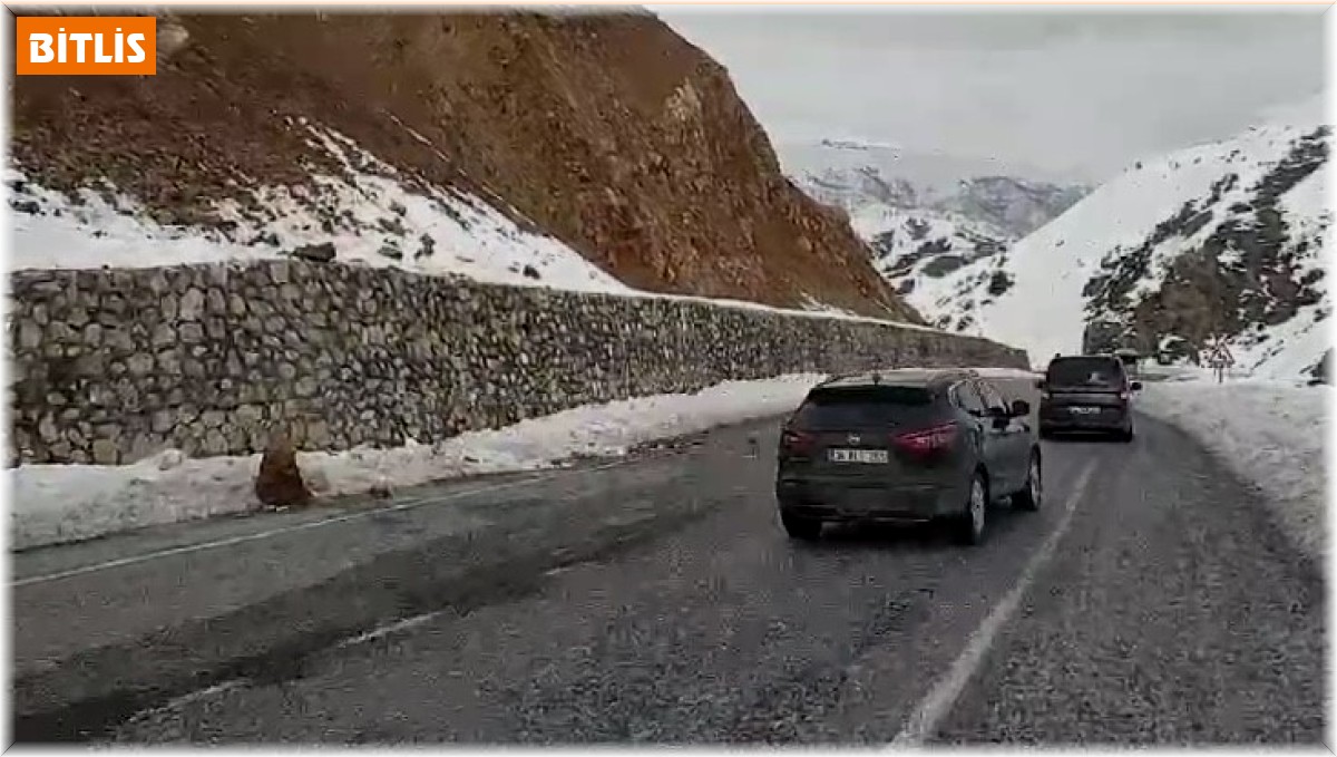 Bitlis'te yola düşen kayalar sürücülere zor anlar yaşattı
