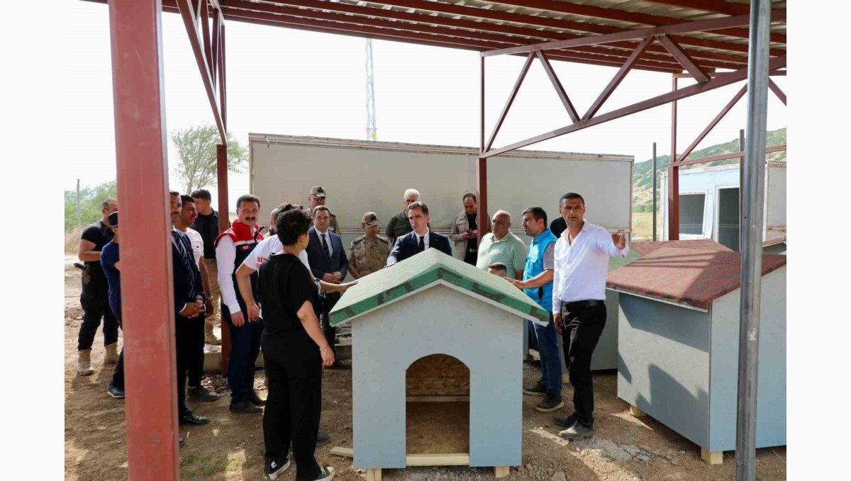 Bitlis'teki hayvan barınağı ve doğal yaşam alanı çalışmaları