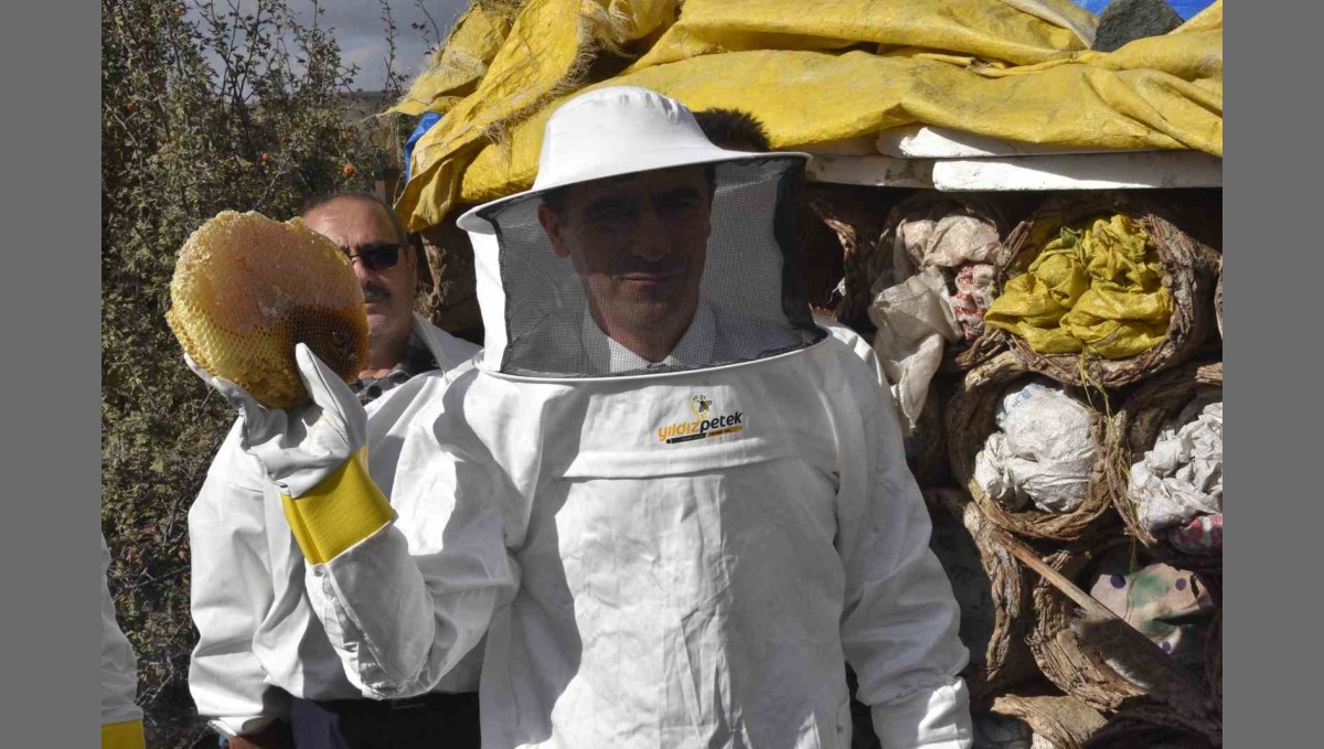 Bitlis Valisi Karakaya dünyaca ünlü karakovan balının hasadını yaptı