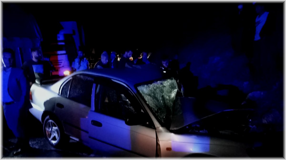Bitlis’te tır ile otomobil çarpıştı: 2 yaralı