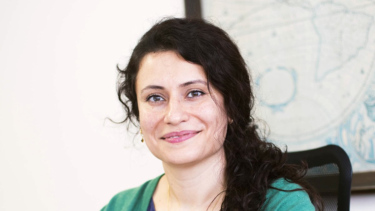 Boğaziçili bilim insanı karaciğer-dostu ilaçlar için araştırmalara başladı