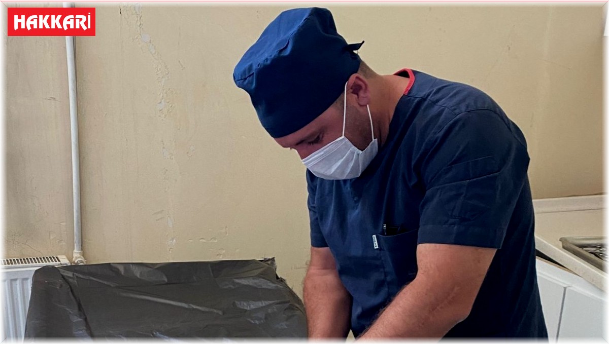 Boğazına kemik takılan kedi kurtarıldı