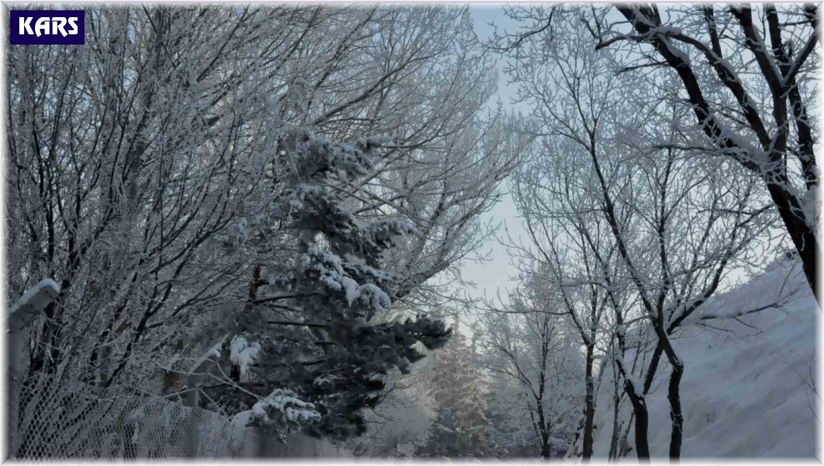 Bölgede en düşük hava sıcaklığı eksi 10 olarak Kars'ta ölçüldü