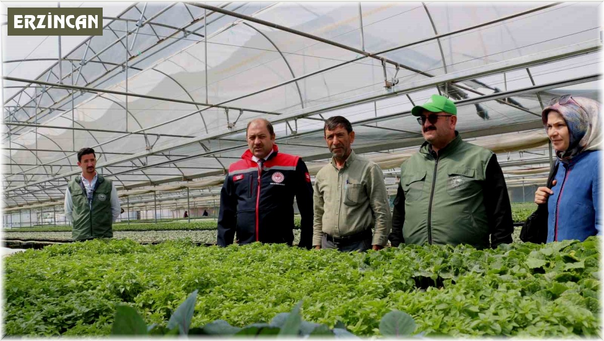 Bölgenin fidesi Erzincan'dan