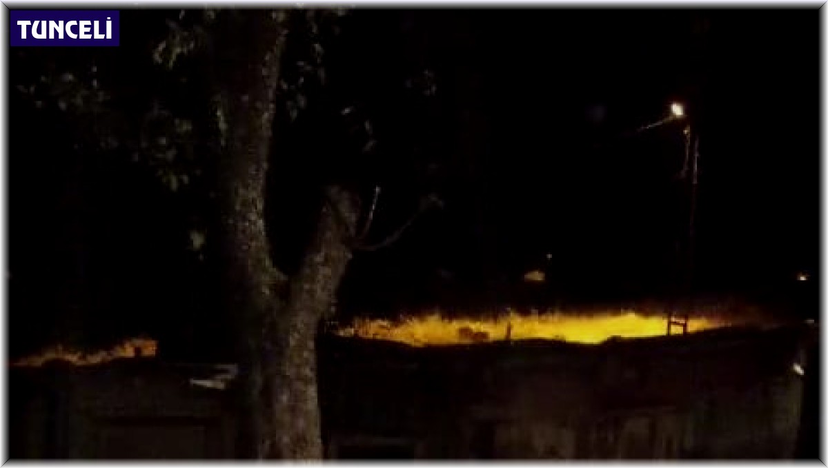 Boz ayı bu kez eli boş döndü