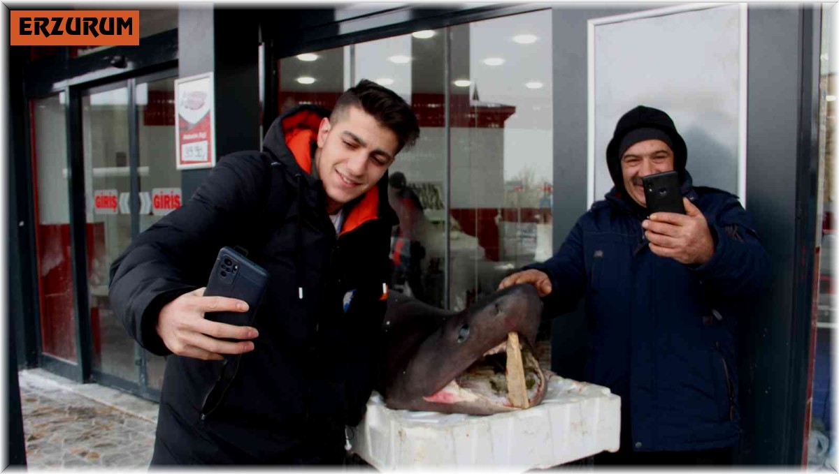 Bu balığı gören Erzurumlular telefonuna sarıldı