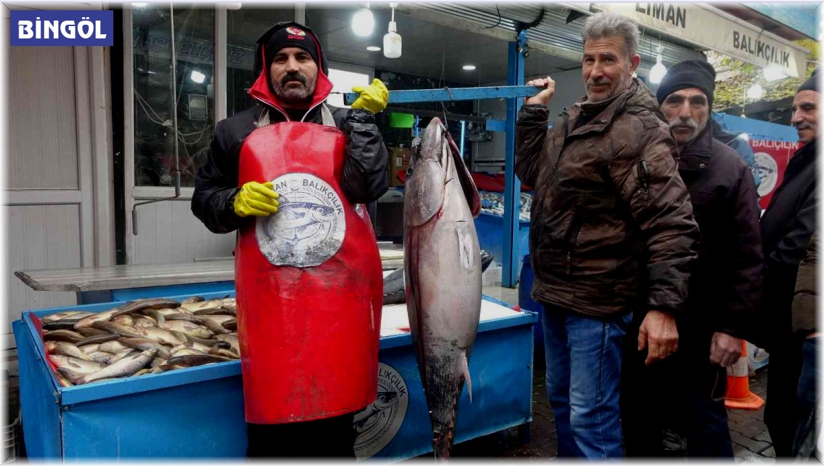 Bu balıkları görenler dönüp bir daha bakıyor, fotoğraf çekiyor