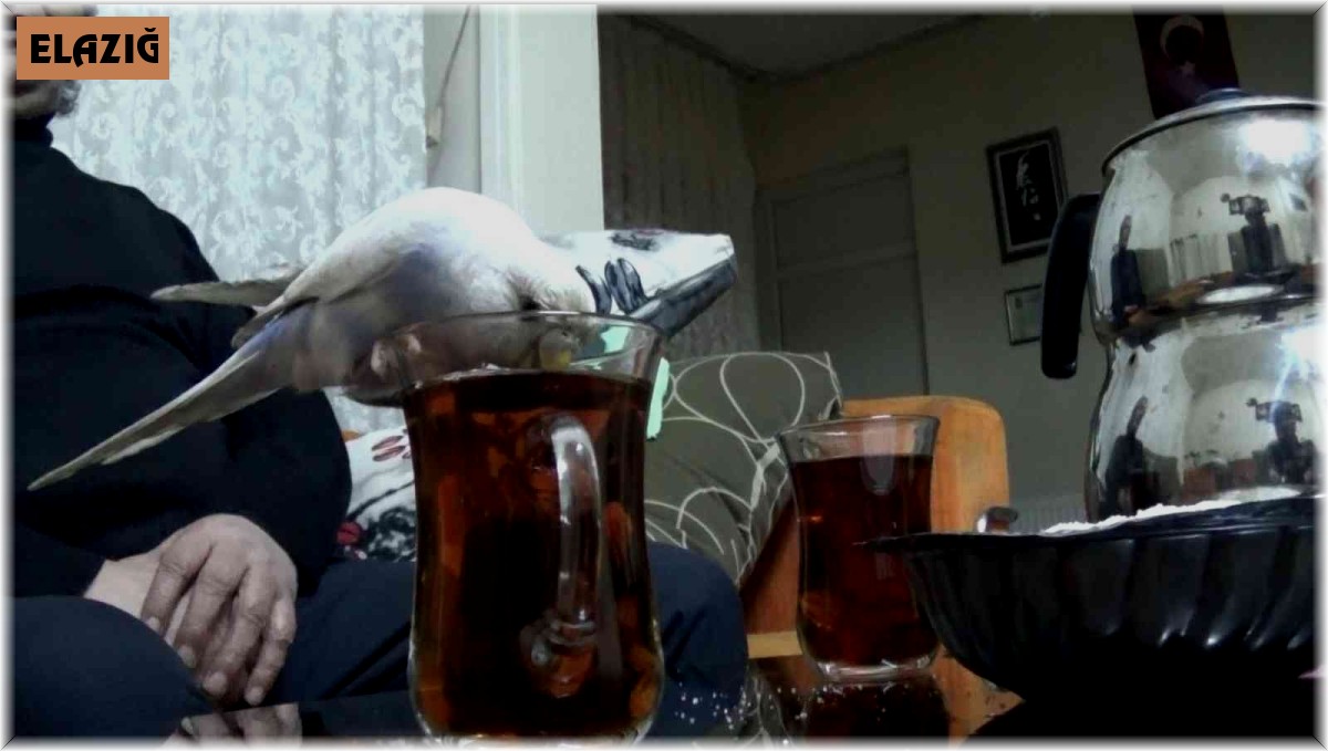 Bu çayın tiryakisi bir başka