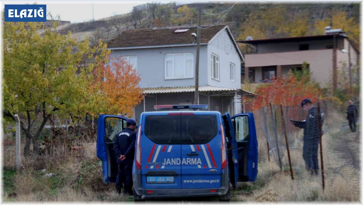 Bu kadarına da pes: Kamyonla köye gelen hırsızlar 15 evi talan etti