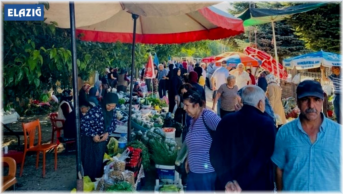 Bu köyde kadınlar hem üretip hem satıyor