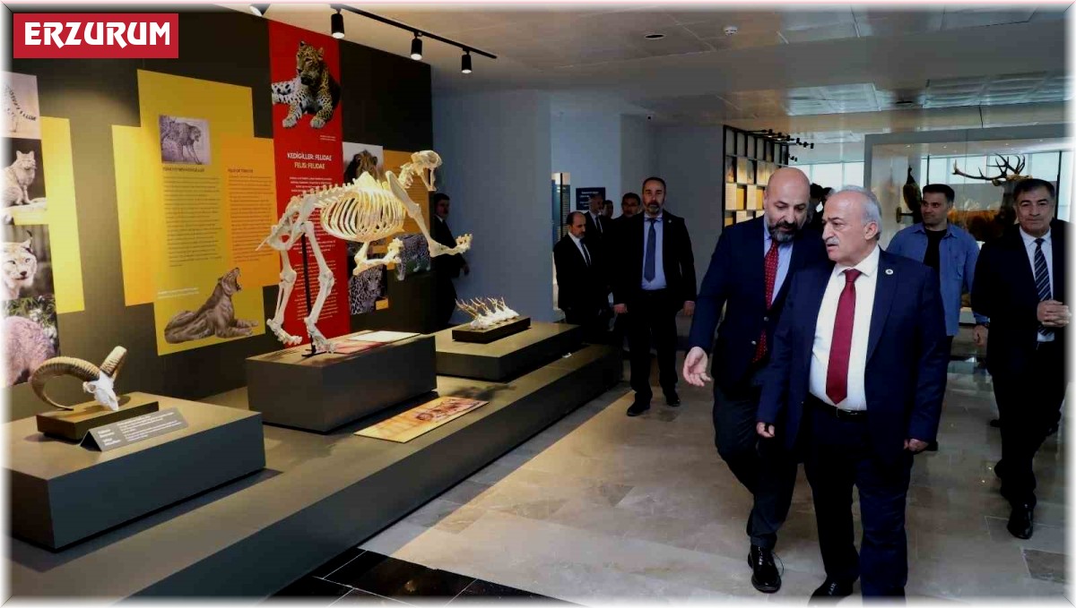 Bu müzede 250 bin böcek ve 20 bin kurutulmuş bitki örneği sergileniyor