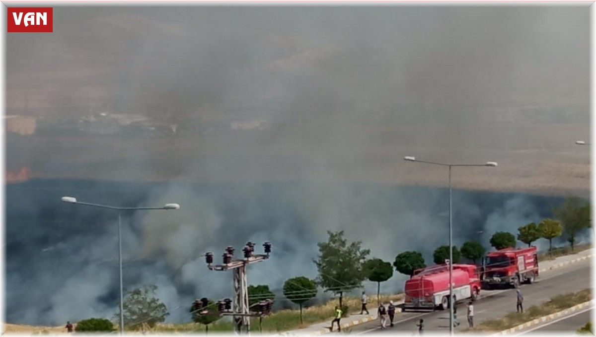 Buğday tarlası alev alev yandı