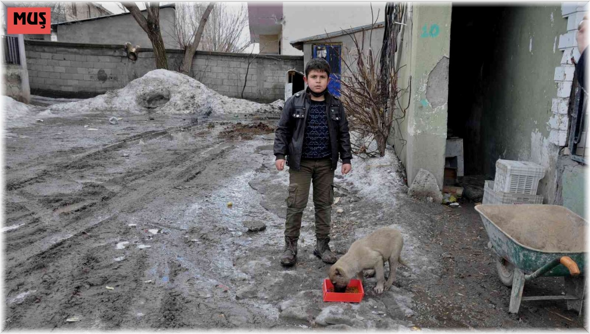 Bulanık'ta 'Bir Kap Bin Cana Dokunur' projesi