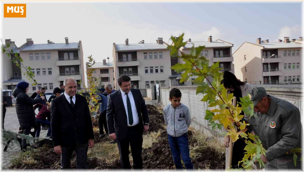 Bulanık'ta, fidanlar toprakla buluştu