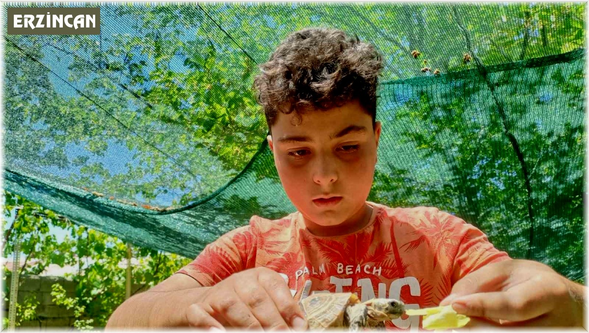 Bulduğu kaplumbağayı sahiplendi, evde elleriyle besliyor