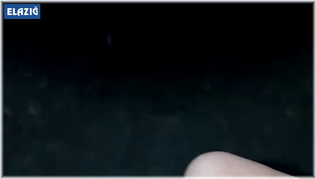 Buldukları yavru yılanı ellerine alıp oynadılar