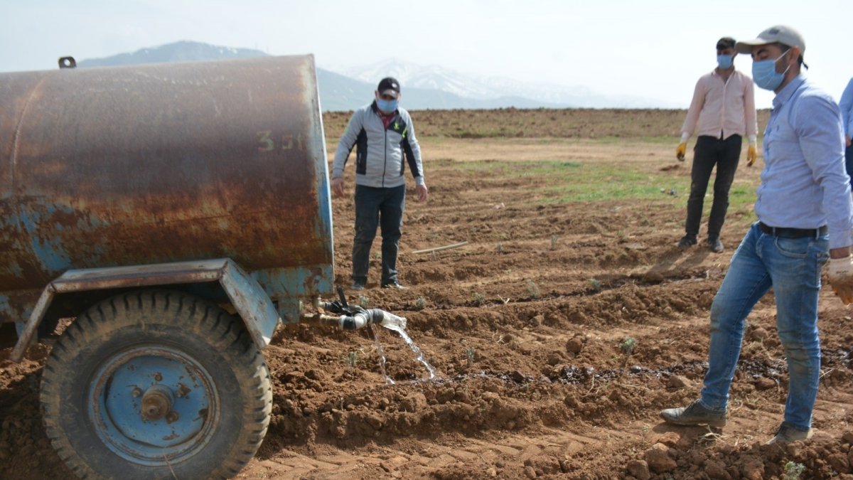 Bulgaristan'dan getirilen lavanta fideleri Bitlis'te toprakla buluştu