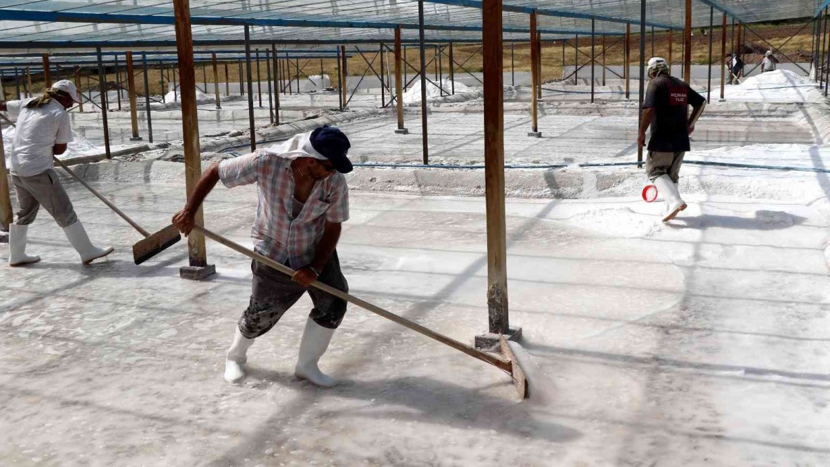 Bunaltıcı sıcaklar 3 bin yıllık "Kemah tuzu"na bereket getirdi