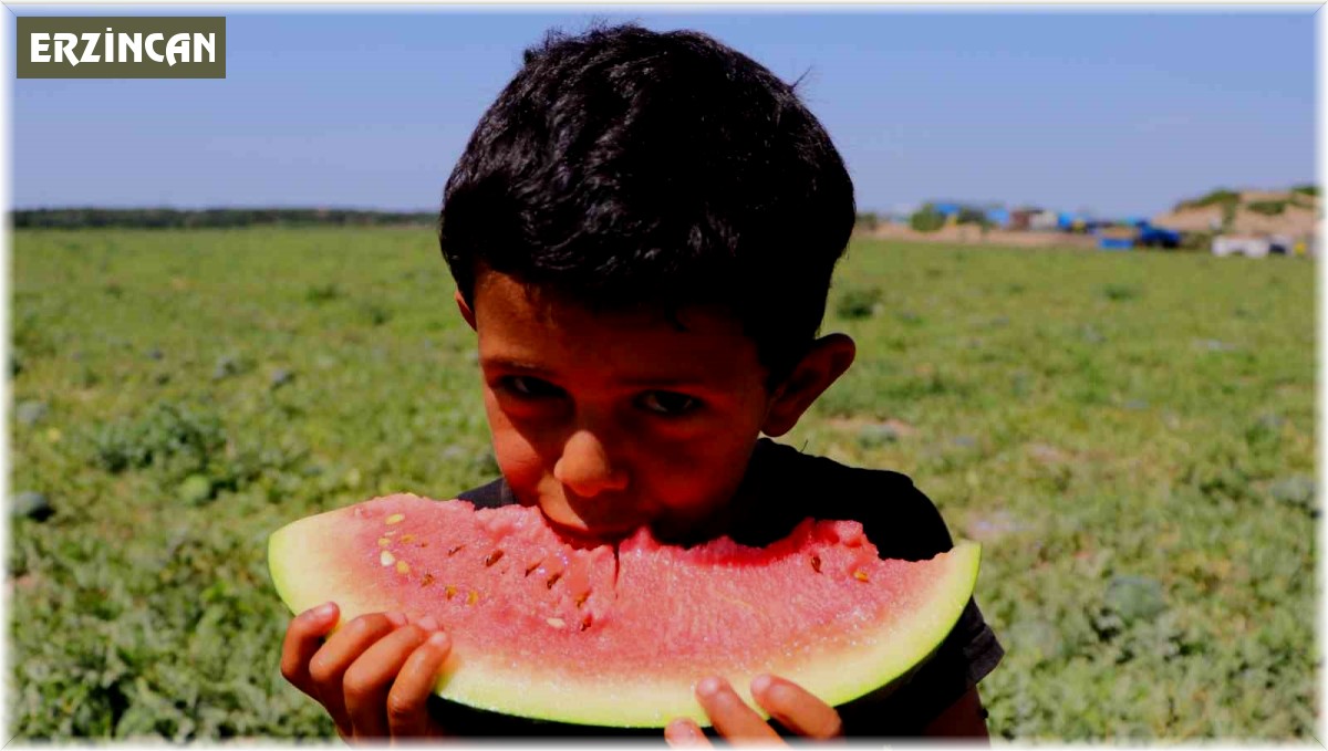 Bunaltıcı sıcaklar sulu meyvelere yöneltti