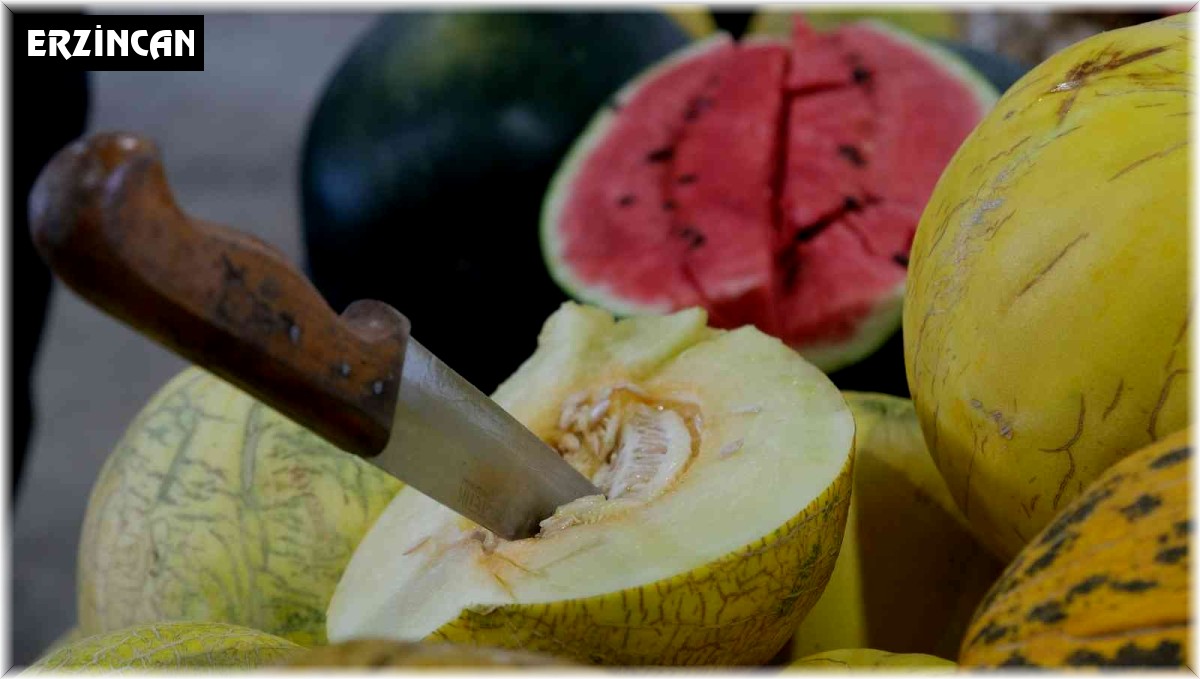 Bunaltıcı sıcaklar sulu meyvelere yöneltti