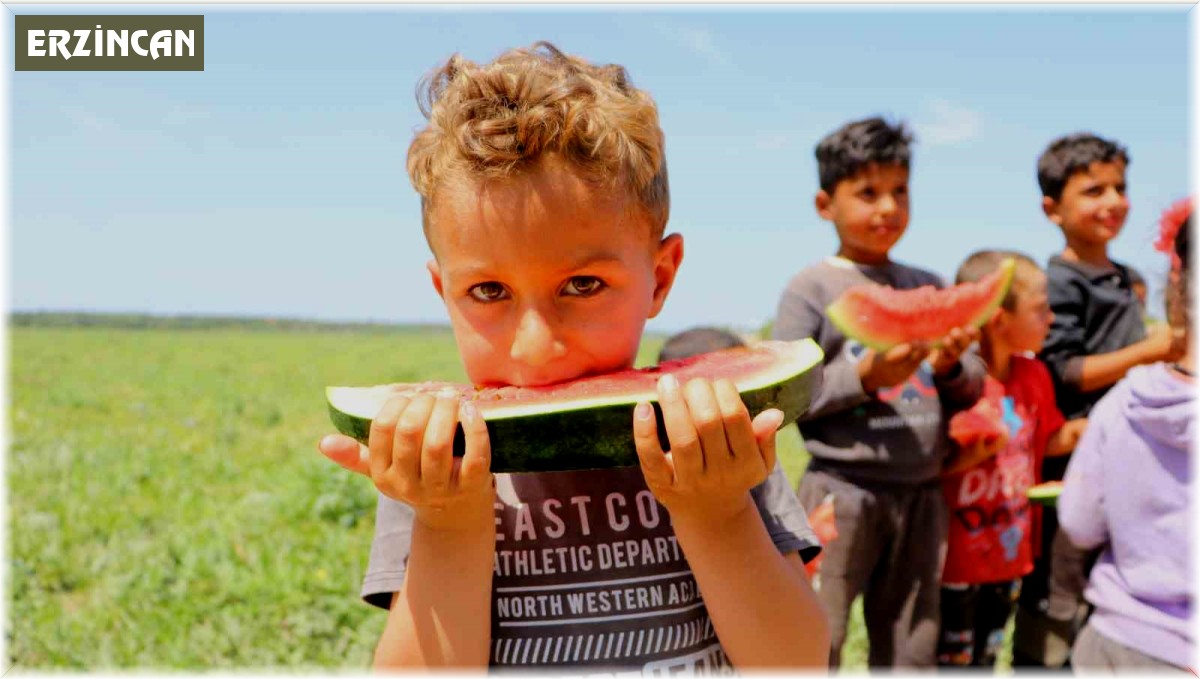 Bunaltıcı sıcaklar vatandaşı sulu meyvelere yönlendirdi