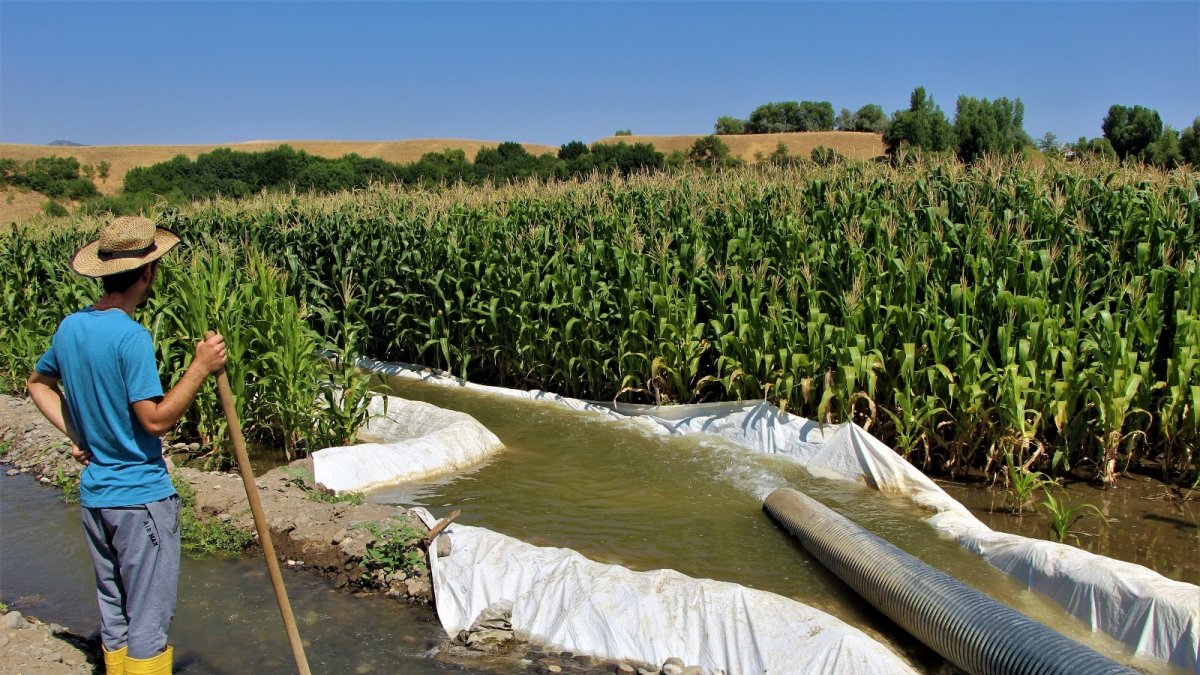 "Burada ürün alamazsın" söylemlerine kulak asmadı, 30 yıldır ekim yapılmayan alana silajlık mısır ekti