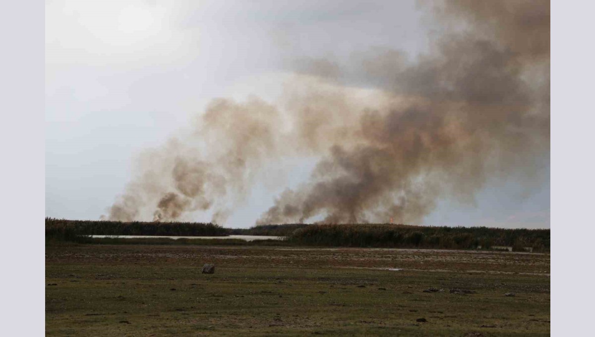 Büyük İron sazlığında yangın