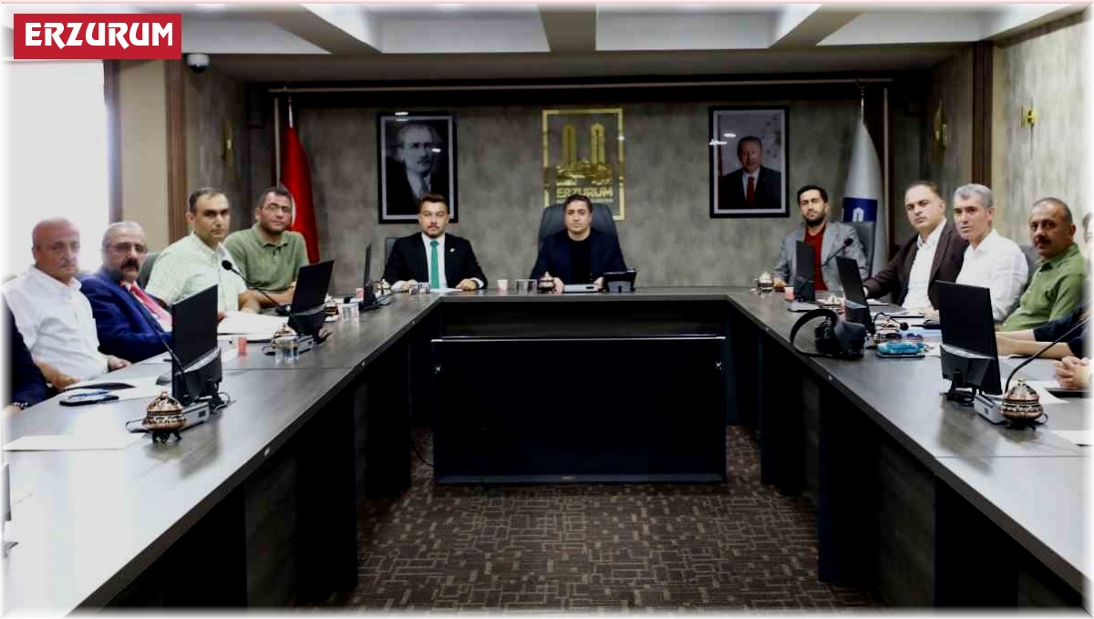 Büyükşehir Estetik Kurulu'nu kurdu