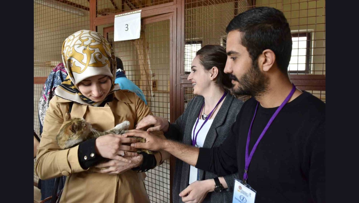 Büyükşehir Hayvan Barınağı'nın kapasitesini artırıyor