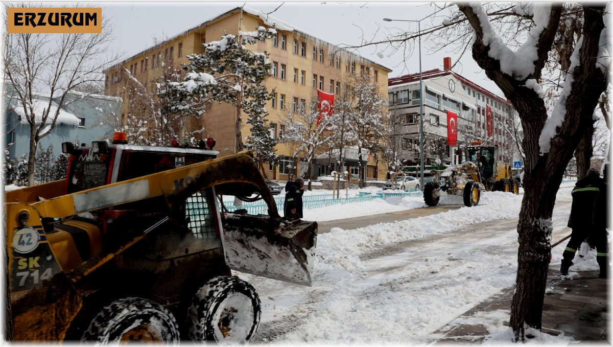 Büyükşehir'in kar timleri kenti baştan aşağı kardan temizliyor