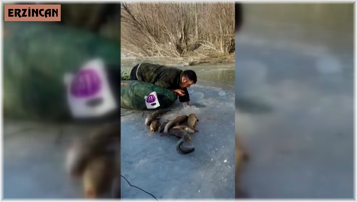 Buz altından elle balık çıkarıyor