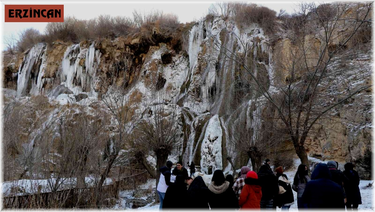 Buz tutan Girlevik Şelalesi'nde 2 metrelik buz sarkıtları oluştu