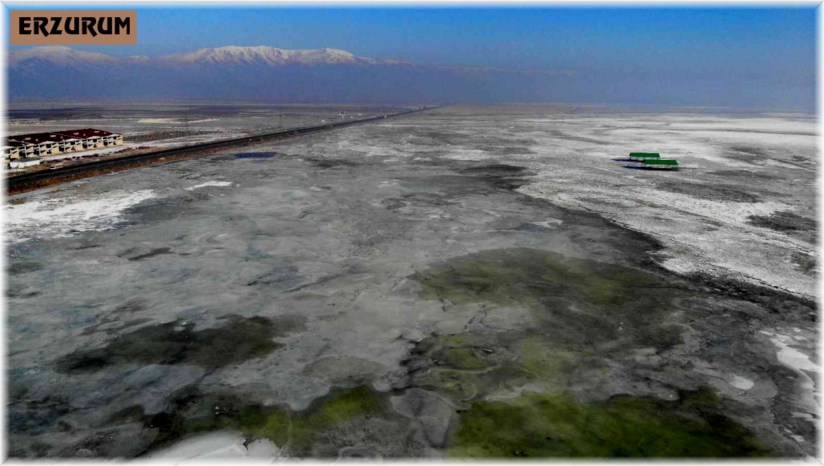 Buzla kaplanan Erzurum Ovası manzarasıyla mest etti