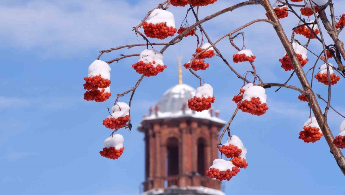 Buzlanma, don ve çığa dikkat