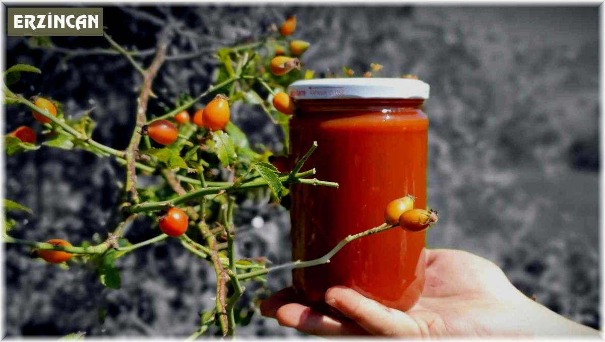 C vitamini deposu kuşburnu köylerde yorucu bir çalışmanın ardından marmelat olarak kavanozlara giriyor