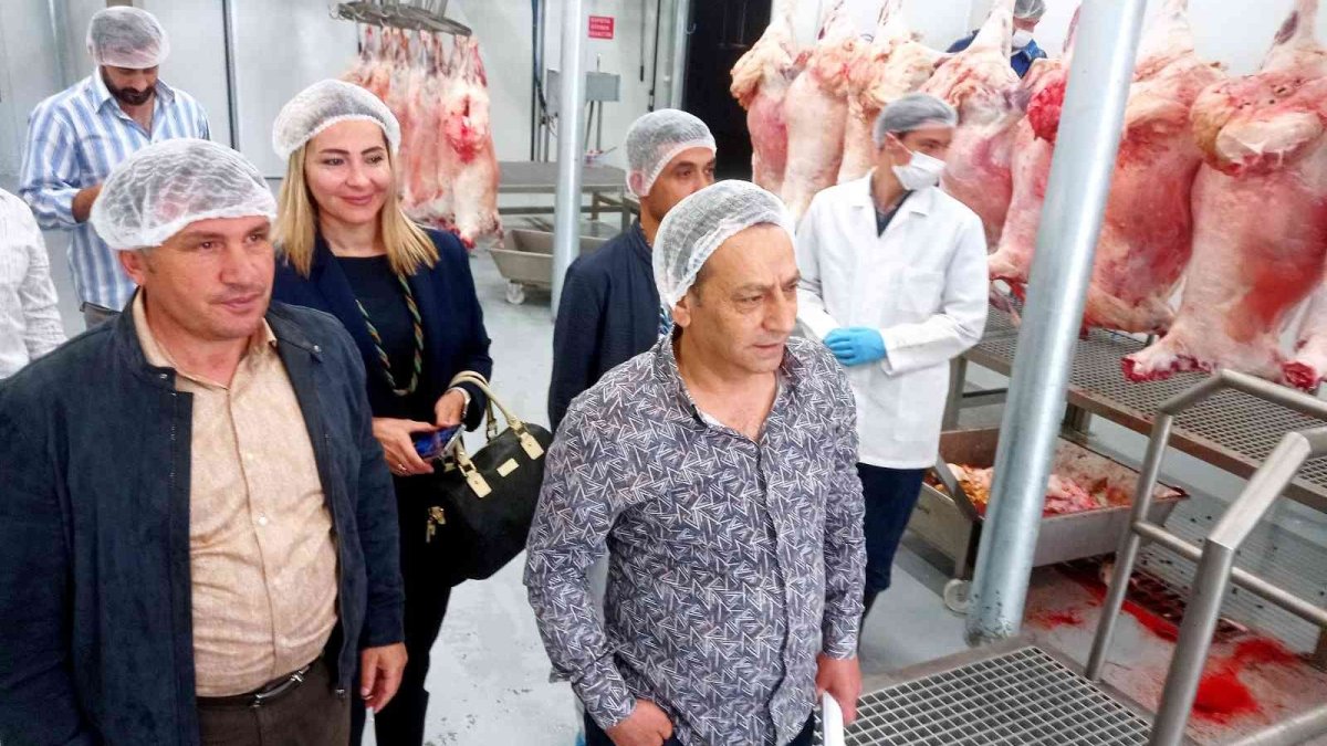 Cağ fabrikasında son rötuşlar tamamlanıyor