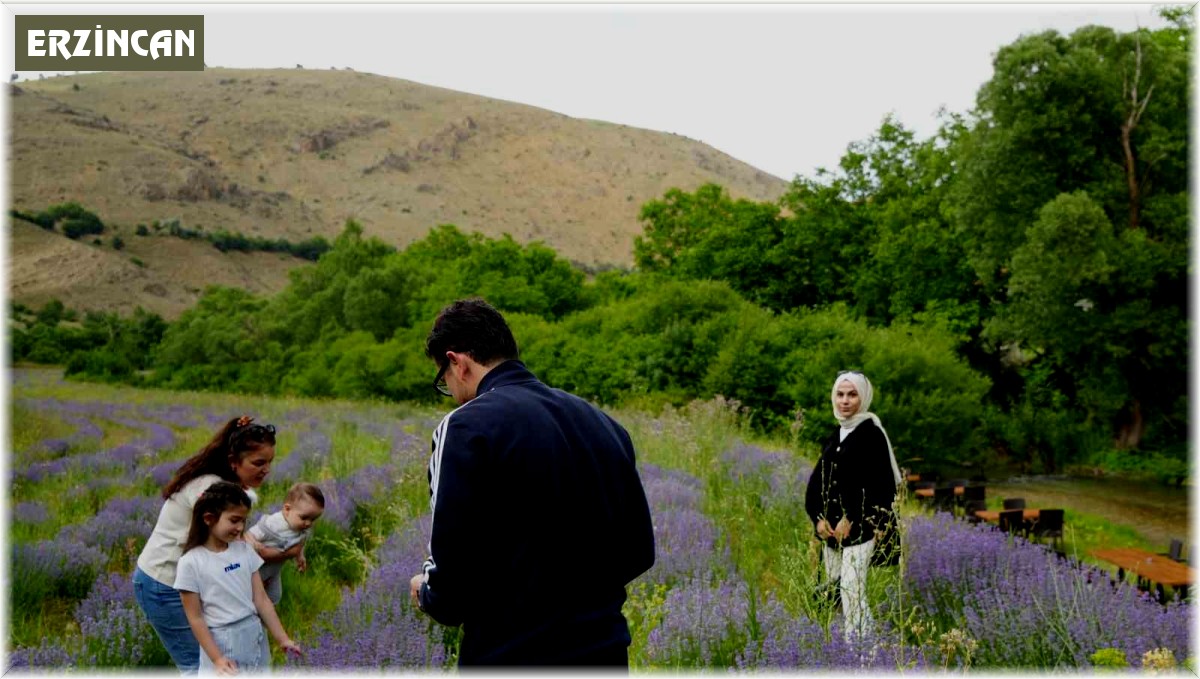 Çağlayan'ın 'Mor' bahçesine ziyaretçi akını