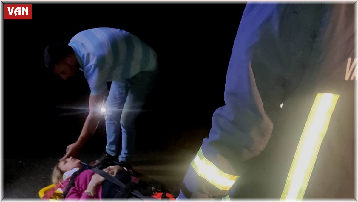 Çaldıran'da trafik kazası: 4 yaralı