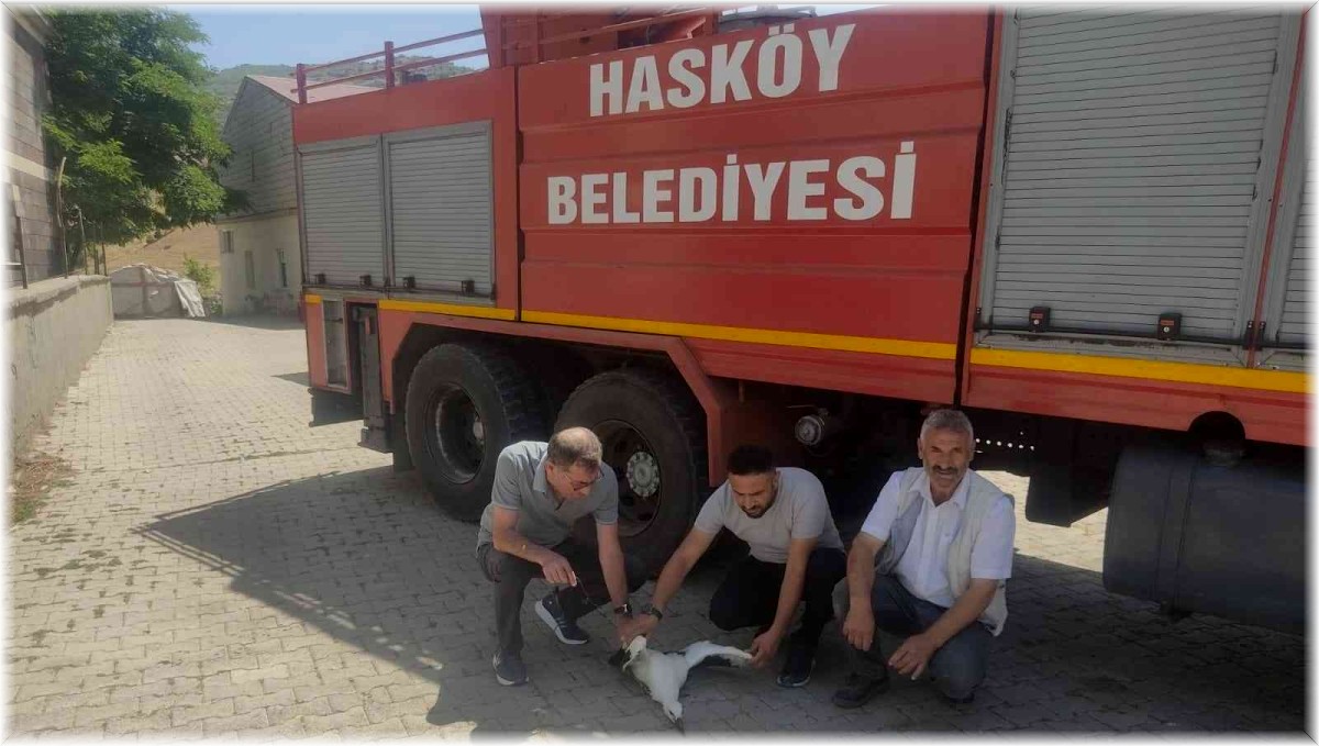 Camii kubbesindeki yaralı leyleği itfaiye ekipleri kurtardı