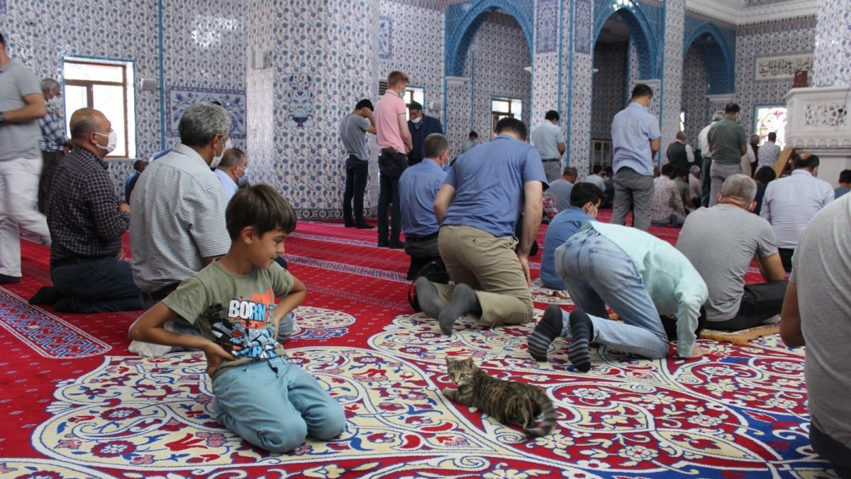 Camiye giren minik kedi çocukların maskotu oldu